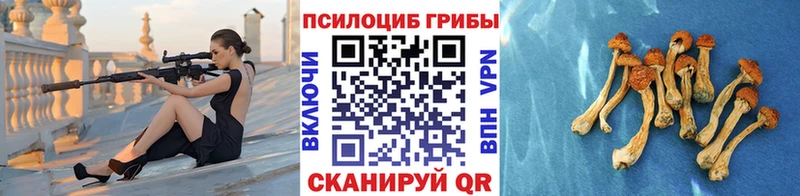 кракен ссылки  Саратов  Галлюциногенные грибы GOLDEN TEACHER 