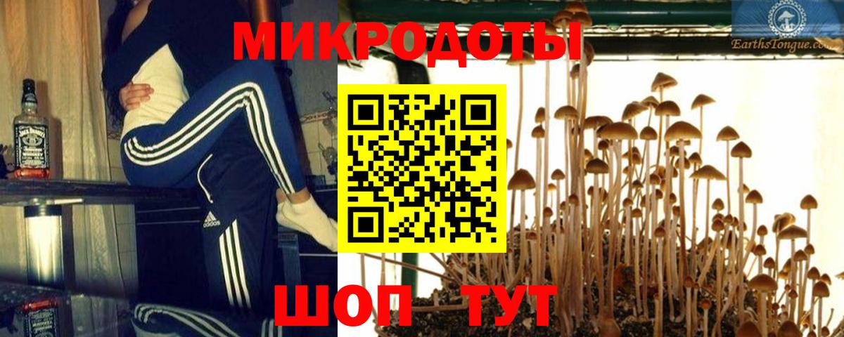 Галлюциногенные грибы Cubensis Саратов