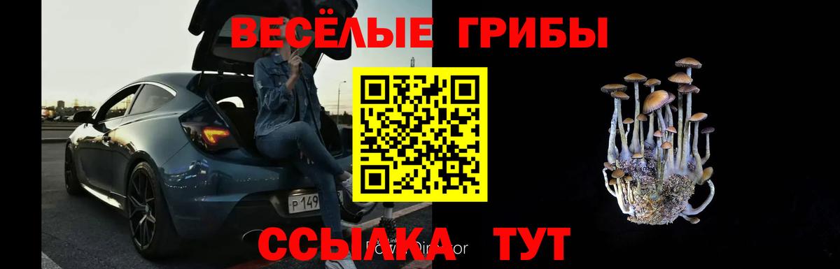 цена   Псилоцибиновые грибы прущие грибы  Вход с VPN  Галлюциногенные грибы мицелий  Саратов 
